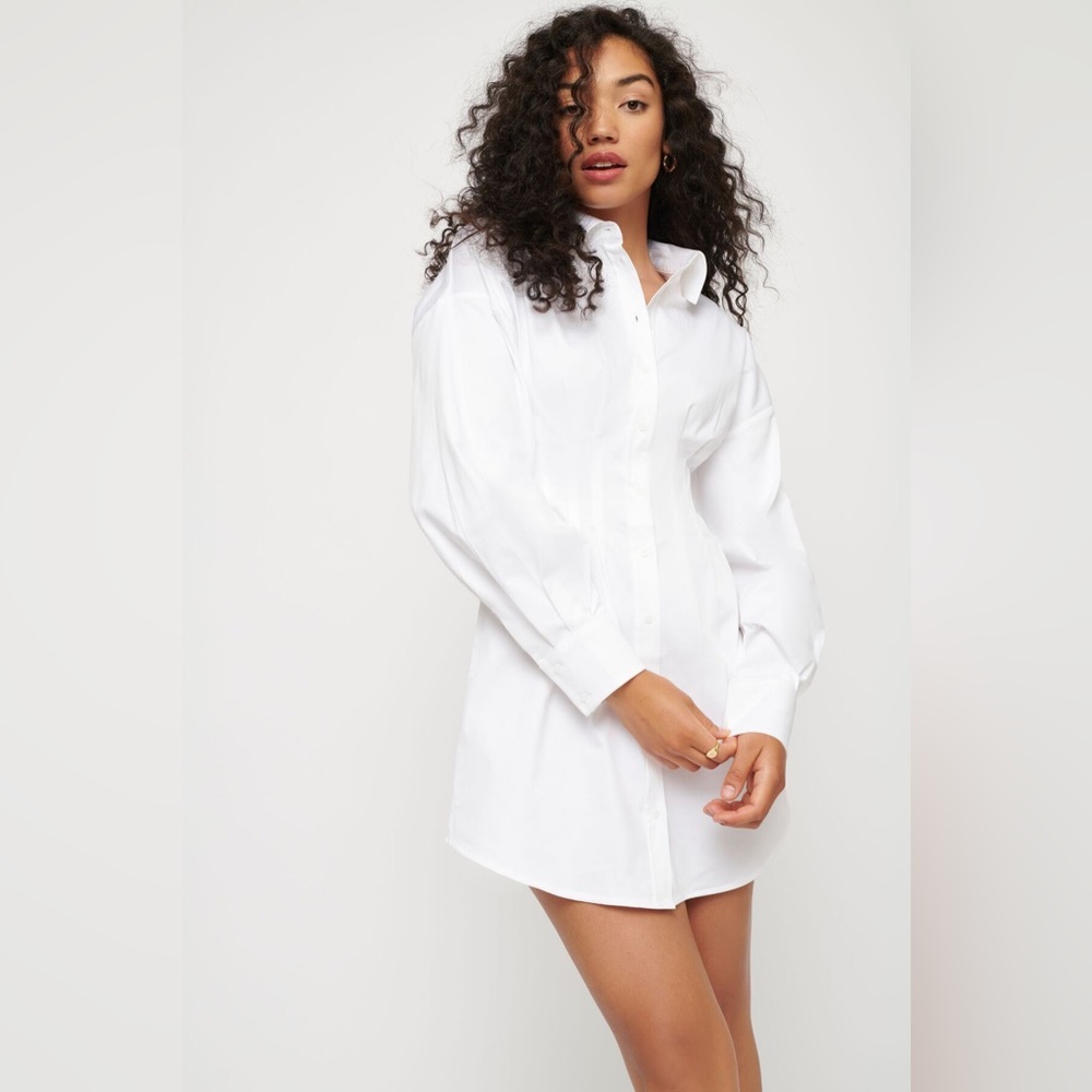 Dynamite Preppy Academia Fitted Button Down Shirt Dress